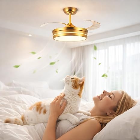 42 Inch Smart Retractable Ceiling Fan with 220V LED Light, Modern Chandelier Fancy Fan with Remote Control & LED Light, Reversible Motor (ELF5)